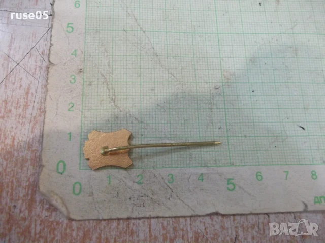 Значка "Snaha Jihlava", снимка 3 - Колекции - 50924087