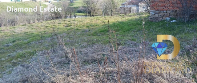 Две къщи в един двор в село Брягово, общ. Хасково, снимка 12 - Къщи - 53887447