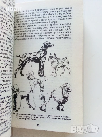 Знаете ли всичко за кучето - В.Денков,Я.Караджов - 1992г., снимка 4 - Други - 50925747