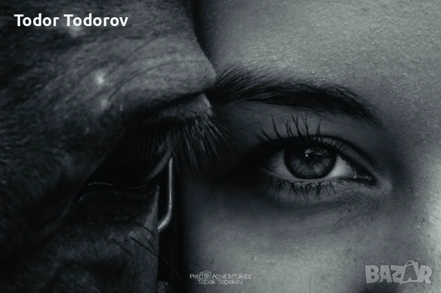 Фотосесия с домашен любимец | Истинска връзка, уловена в кадър, снимка 6 - Ветеринари и услуги - 53926420