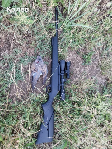 Monza-223rem., снимка 4 - Ловно оръжие - 51289376