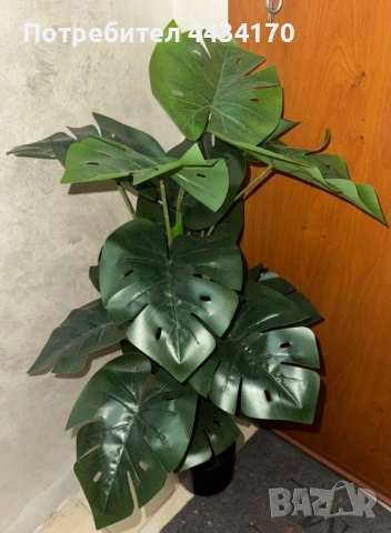 Спешно! Изкуствено растение Монстера / декоративно дърво – налични 2 броя