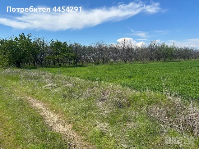 Продавам нива в м.Фиданлъка в землището на с.Марково и в близост до с.Първенец и Зеленчукова Борса, снимка 3 - Земеделска земя - 50036623