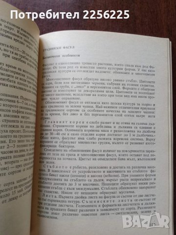 Практическо зеленчуко - производство, снимка 6 - Специализирана литература - 50611806