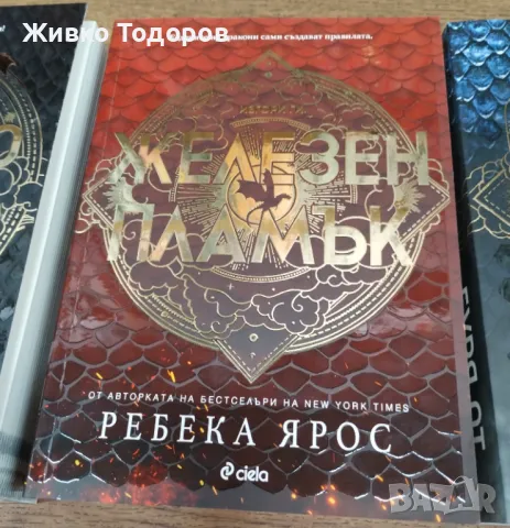 Ребека Ярос - Четвърто крило/ Железен пламък/Буря от оникс, снимка 3 - Художествена литература - 48833311