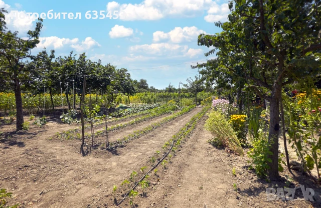 Продава 105 м2 добре поддържана къща с 3520 двор, на 15 км от морето, снимка 4 - Къщи - 51062798