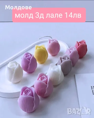 Молдове цветя с цени на снимките, снимка 7 - Форми - 48588163