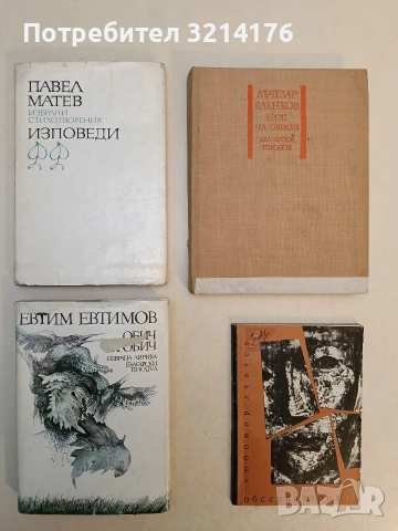 Избрани стихотворения. Том 2: Изповеди - Павел Матев