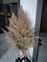 Чисто нов букет от естествена пампаска трева, снимка 1
