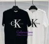 Мъжка тениска Calvin Klein- SSO48-10, снимка 1 - Тениски - 39599881