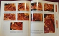 Голям атлас на колоректалната хирургия / A Colour Atlas of Colorectal Surgery, снимка 8