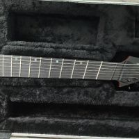 7-струнна multiscale китара Legator Ninja-7, снимка 3 - Китари - 45389951