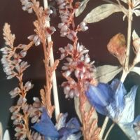 Картина със сухи растения DINA Super-LS Brillant Nr. 1725 25х7см, снимка 4 - Колекции - 45191739