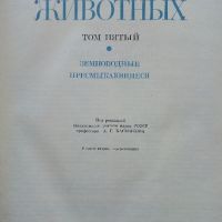 Енциклопедия "Жизнь животных" в седем тома, снимка 9 - Енциклопедии, справочници - 45322603