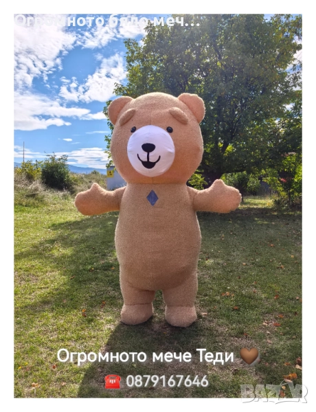 Огромното мече Теди / Изненада, снимка 1