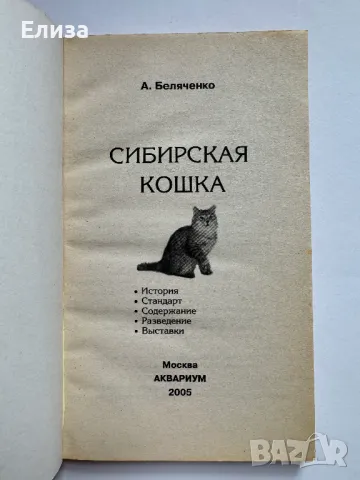 Сибирская Кошка. История. Стандарт. Содержание. Разведение. Выставки., снимка 3 - Специализирана литература - 47087516