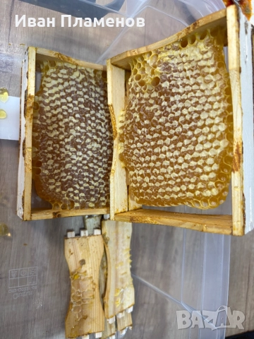 Пчелна Медена питка без тел и без восъчна основа, снимка 2 - Пчелни продукти - 51691728