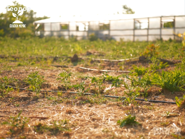 Дървесен чипс за мулчиране и компостиране – доставка с камион, снимка 3 - Строителни материали - 52259025