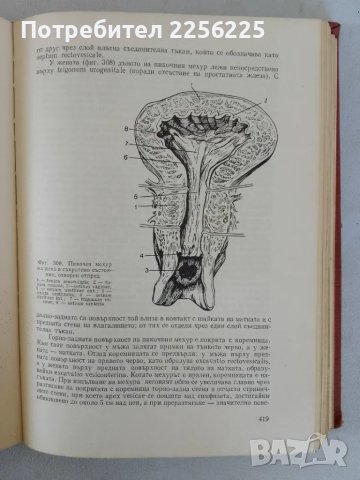 Анатомия на човека, снимка 5 - Специализирана литература - 47319367