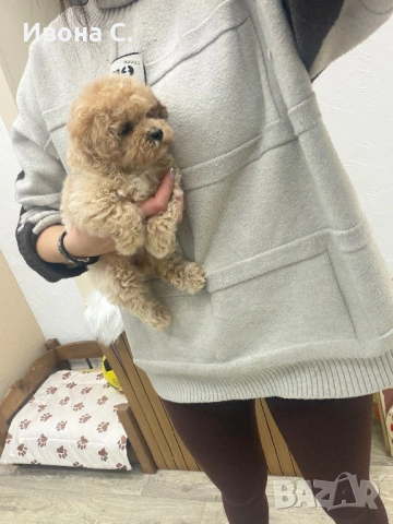 Малтипу, снимка 3 - Други - 53866676