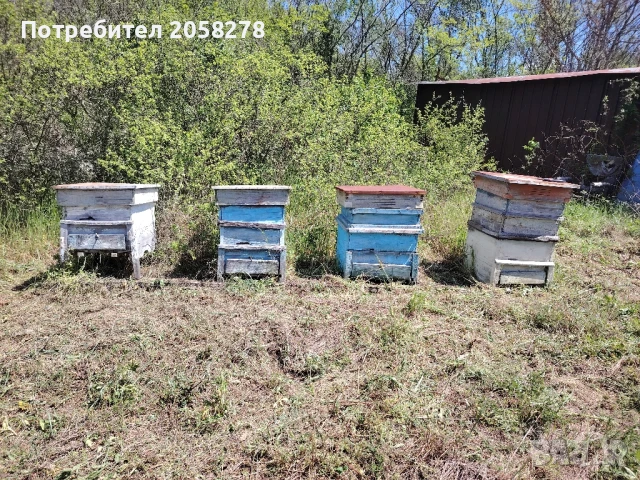 Пчелни кошери и оборудване , снимка 2 - Надомна работа - 51182122