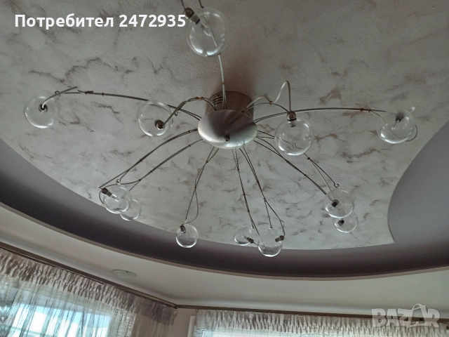 Полилей, снимка 2 - Полилеи - 51706126