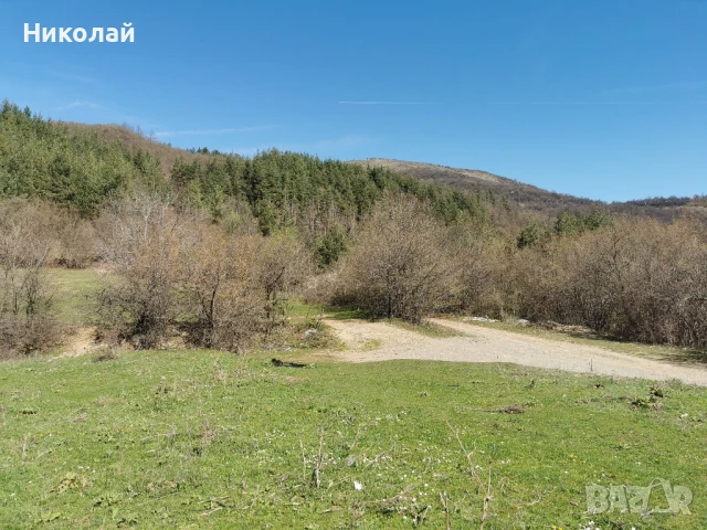 Парцел 3 декара до пътя Голям Извор - Тетевен и пряк път за Гложенски манастир, снимка 5 - Парцели - 51232845