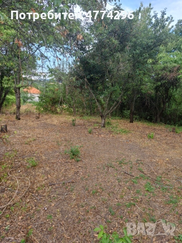 Продавам парцел в с. Смолско,общ. Мирково, снимка 3 - Парцели - 53937769