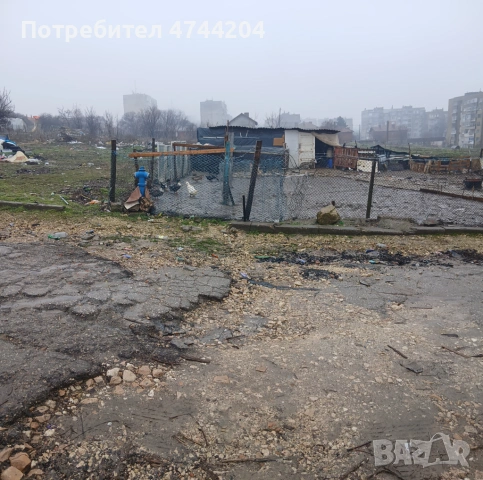 Кокошки пуйки юрдеци за хубава цена само за серяозни хора ще сте доволни