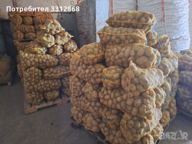 Картофи. РАВНОГОРСКИ, снимка 4 - Обзавеждане за заведение - 53466639