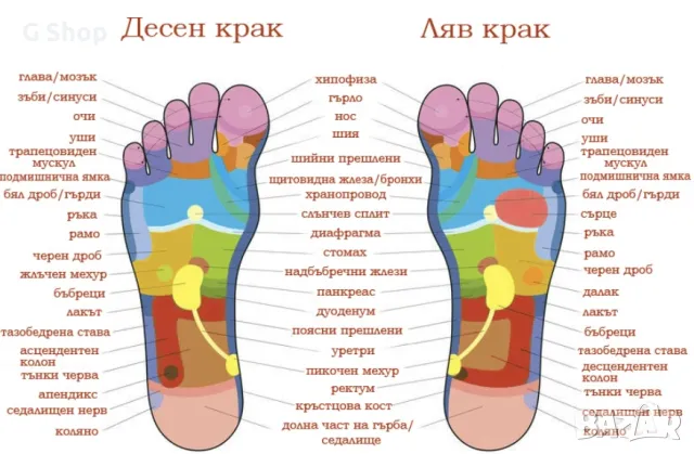 Масажни чехли подарък обувки с кристали камъни масажиращи екупунктура, снимка 5 - Чехли - 49674234