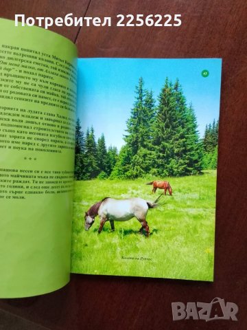 "Духовните стражи на Рупчос", снимка 2 - Художествена литература - 50390836