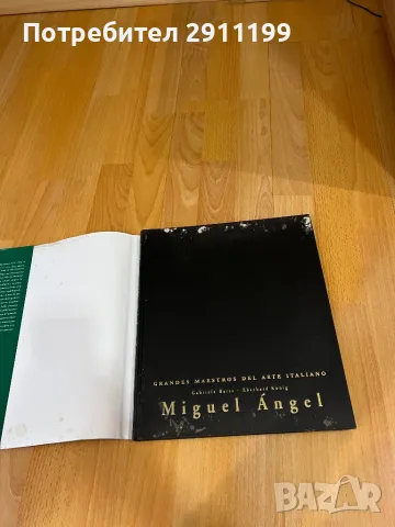 Художествен албум/алманах на Микеланджело, снимка 8 - Художествена литература - 49983069