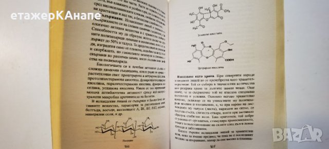 Диворастяща храна  	Автор: Пенчо Далев, снимка 9 - Енциклопедии, справочници - 46243270