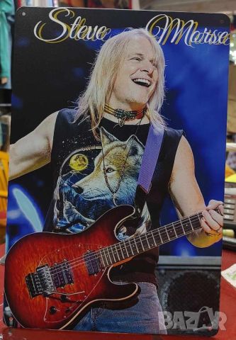 Steve Morse-метална табела(плакет), снимка 1 - Китари - 45687416