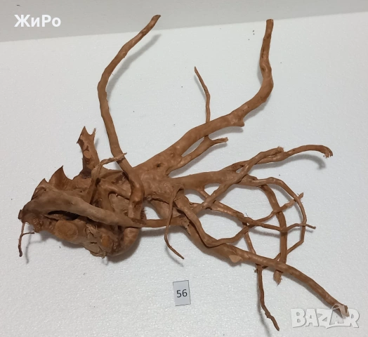 Корен от Азалия /декорация/ 56, снимка 2 - Други - 54102259