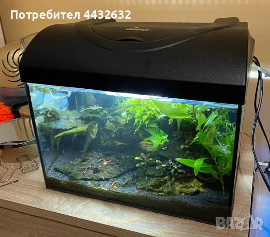 Аквариум със скариди, цялостно оборудван и естествено декориран, снимка 2 - Аквариуми - 54021454