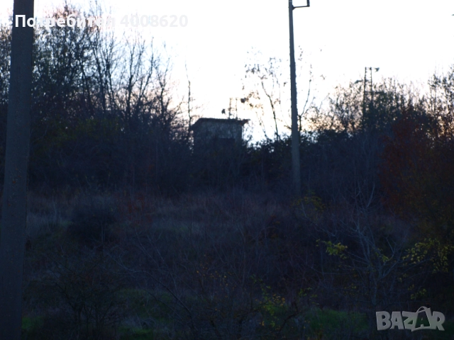 Продавам от 12 дка в с. Приселци, общ. Аврен, обл. Варна – местност „ЯВЛ“(На около 2км от селото), снимка 9 - Парцели - 52355518