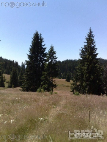 Продавам имот 1767кв.м. на Хайдушки поляни (Имарет дере) в землището на с. Кутела, снимка 3 - Земеделска земя - 53438115