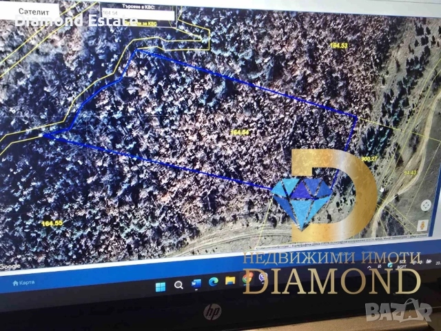 Гора в село Георги Добрево, общ. Любимец