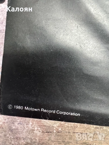 Грамофонна плоча - Stevie Wonder - Hotter Than July, снимка 3 - Грамофонни плочи - 52462743