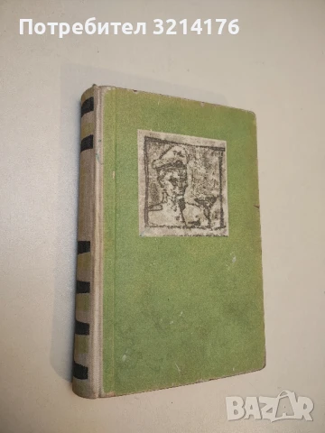 Хамлет, или краят на дългата нощ - Алфред Дьоблин, снимка 2 - Художествена литература - 50794811