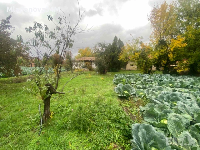 Имот с голям двор, снимка 6 - Къщи - 52255307