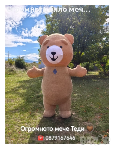 Огромното мече Теди / Изненада