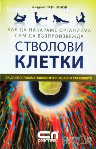 Как да накараме организма сам да възпроизвежда стволови клетки - Андрей Левшинов