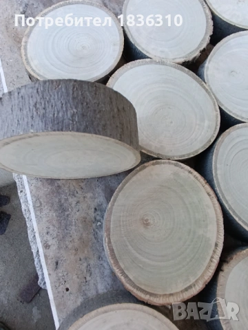 Дървени шайби липа, снимка 4 - Други - 53583296