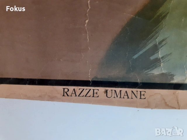 Много стар плакат антропологичен печат Човешките раси 1925г., снимка 3 - Антикварни и старинни предмети - 53408579