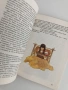 Ханс Кристиан Андерсен - Приказки, снимка 9