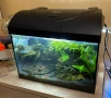 Аквариум със скариди, цялостно оборудван и естествено декориран, снимка 2