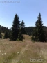 Продавам имот 1767кв.м. на Хайдушки поляни (Имарет дере) в землището на с. Кутела, снимка 3